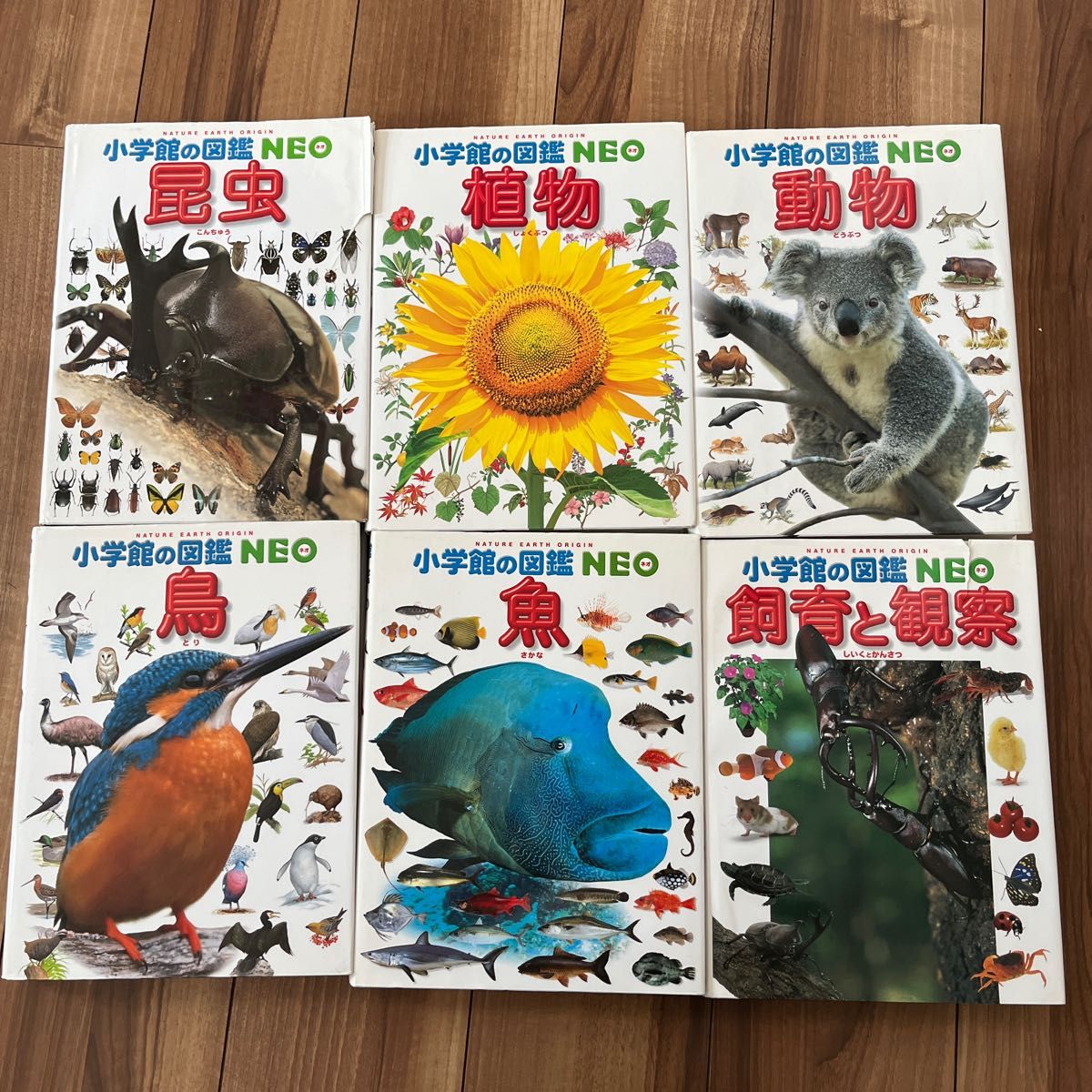 小学館の図鑑NEO 昆虫　植物　鳥　動物　魚　飼育と観察　6冊セット