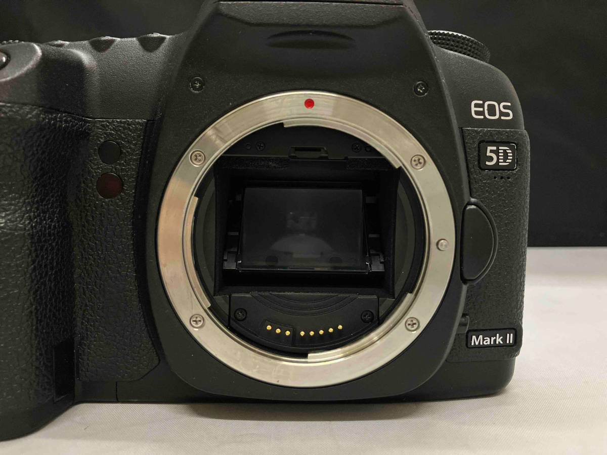ジャンク Canon EOS 5D Mark ボディ_画像3