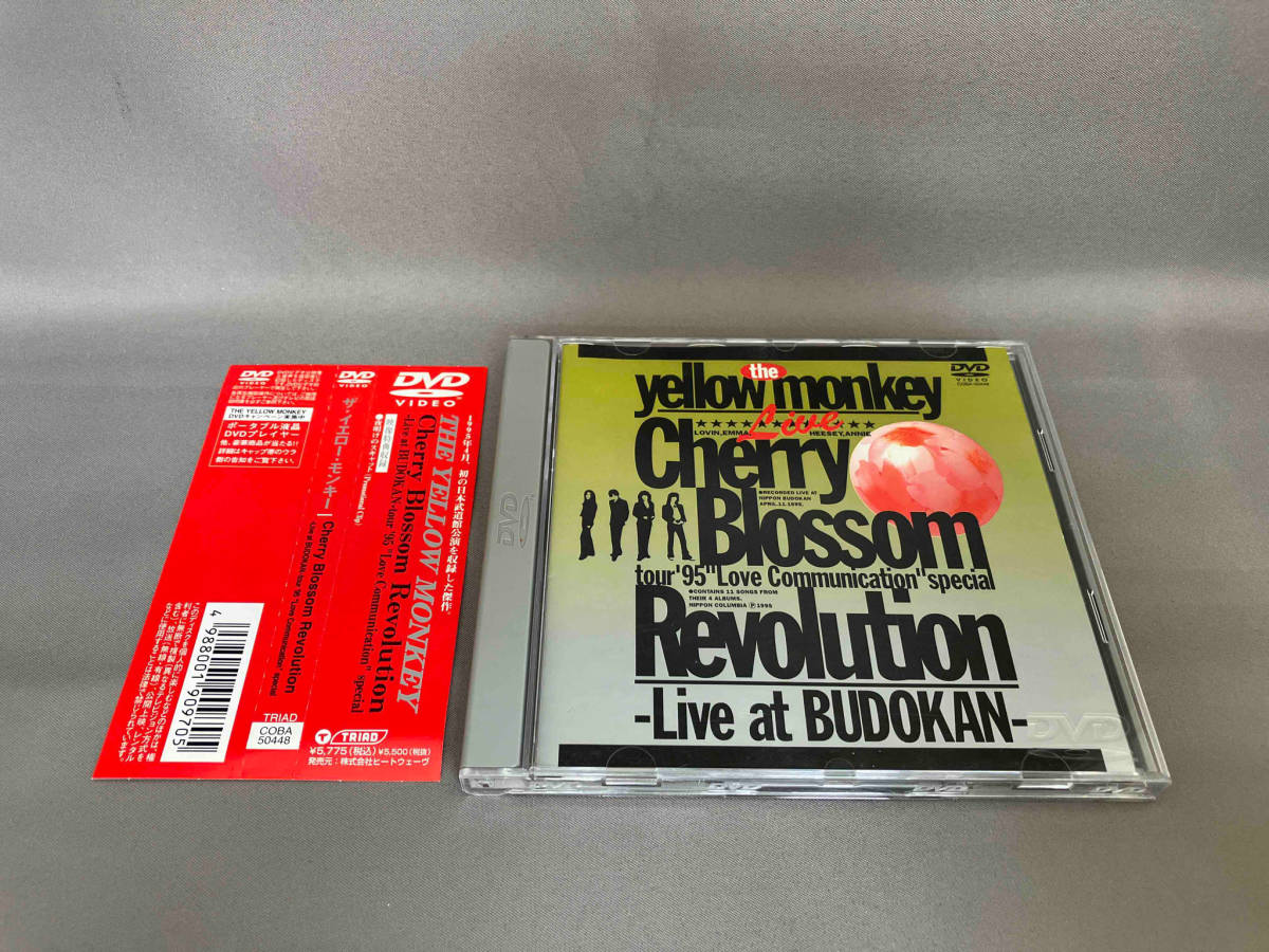 イエローモンキー DVD CHERRY BLOSSOM REVOLUTIONの画像1