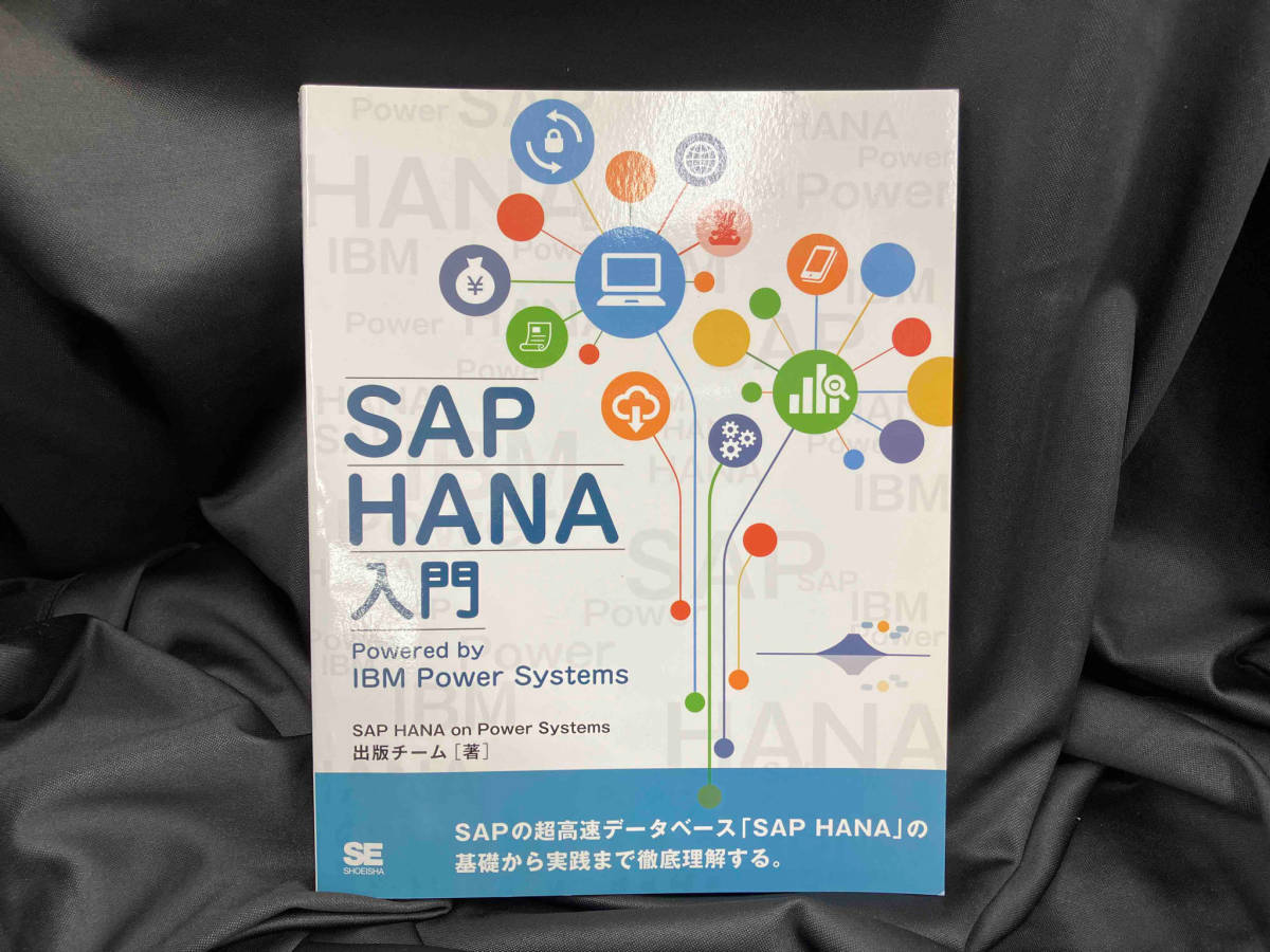 OD版 SAP HANA入門 SAP HANA on Power Systems出版チーム_画像1