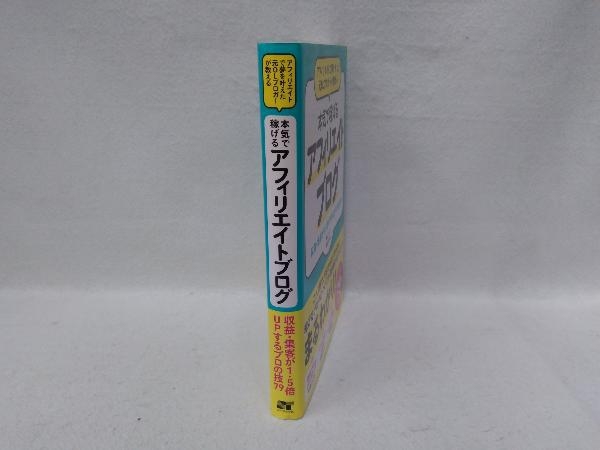 アフィリエイトで夢を叶えた元OLブロガーが教える 本気で稼げるアフィリエイトブログ 亀山ルカ_画像3