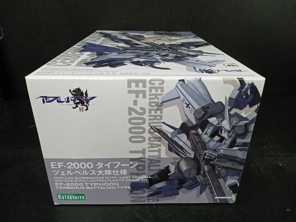 内袋未開封 プラモデル (再販)コトブキヤ EF-2000 タイフーン ツェルベルス大隊仕様 「マブラヴ オルタネイティヴ ザ・ユーロ・フロント」_画像7