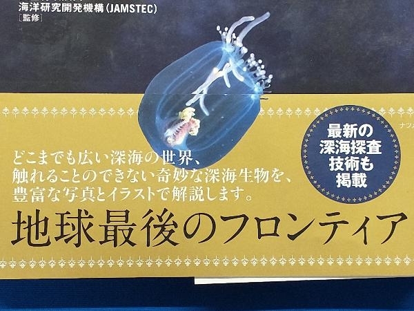 深海と深海生物 美しき神秘の世界 海洋研究開発機構_画像4