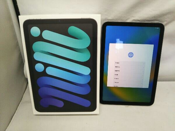 無料発送 MK7T3J/A iPad mini Wi-Fi 256GB スペースグレイ第6世代 iPad