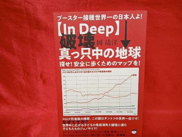 【In Deep】破壊 真っ只中の地球 岡靖洋_画像1