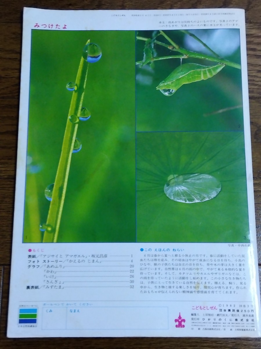 送料無料 昭和レトロ こどもとしぜん 6月号 あめの ひ あまがえる みずべのいきもの 写真絵本 ひかりのくに 1982年第19巻3号 幼児教育 自然