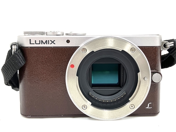 Panasonic LUMIX DMC-GM1S デジタル一眼カメラ パナソニック 中古 O8100809