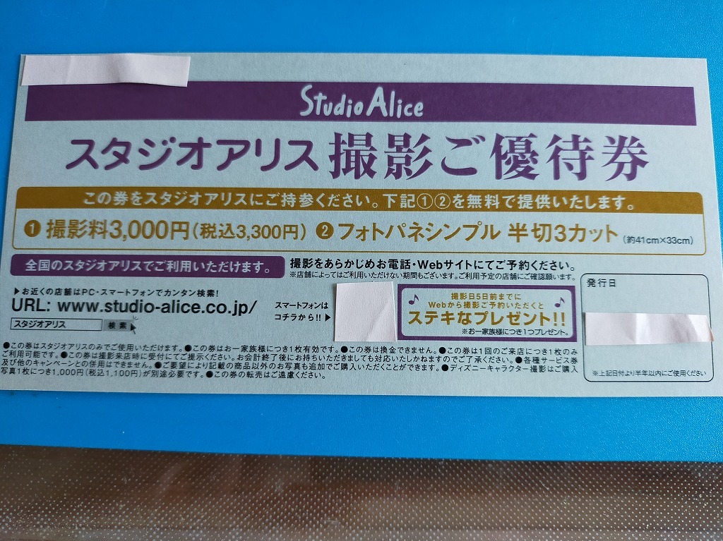 スタジオアリス 節句記念ご優待券 - その他