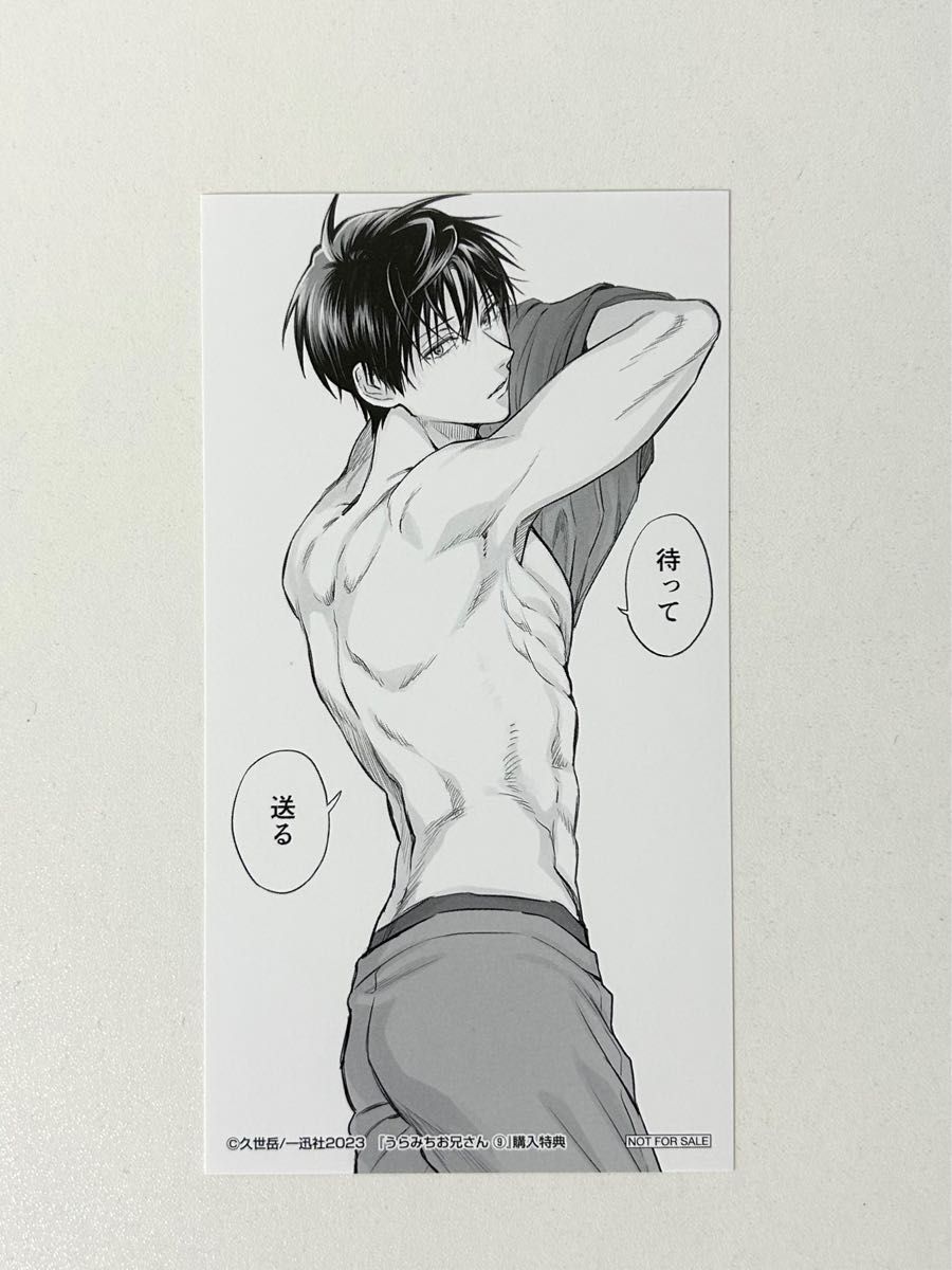 うらみちお兄さん9巻 表田裏道 描き下ろし大判しおり 特典 うらみちお兄さん9巻 表田裏道 描き下ろし大判しおり 特典