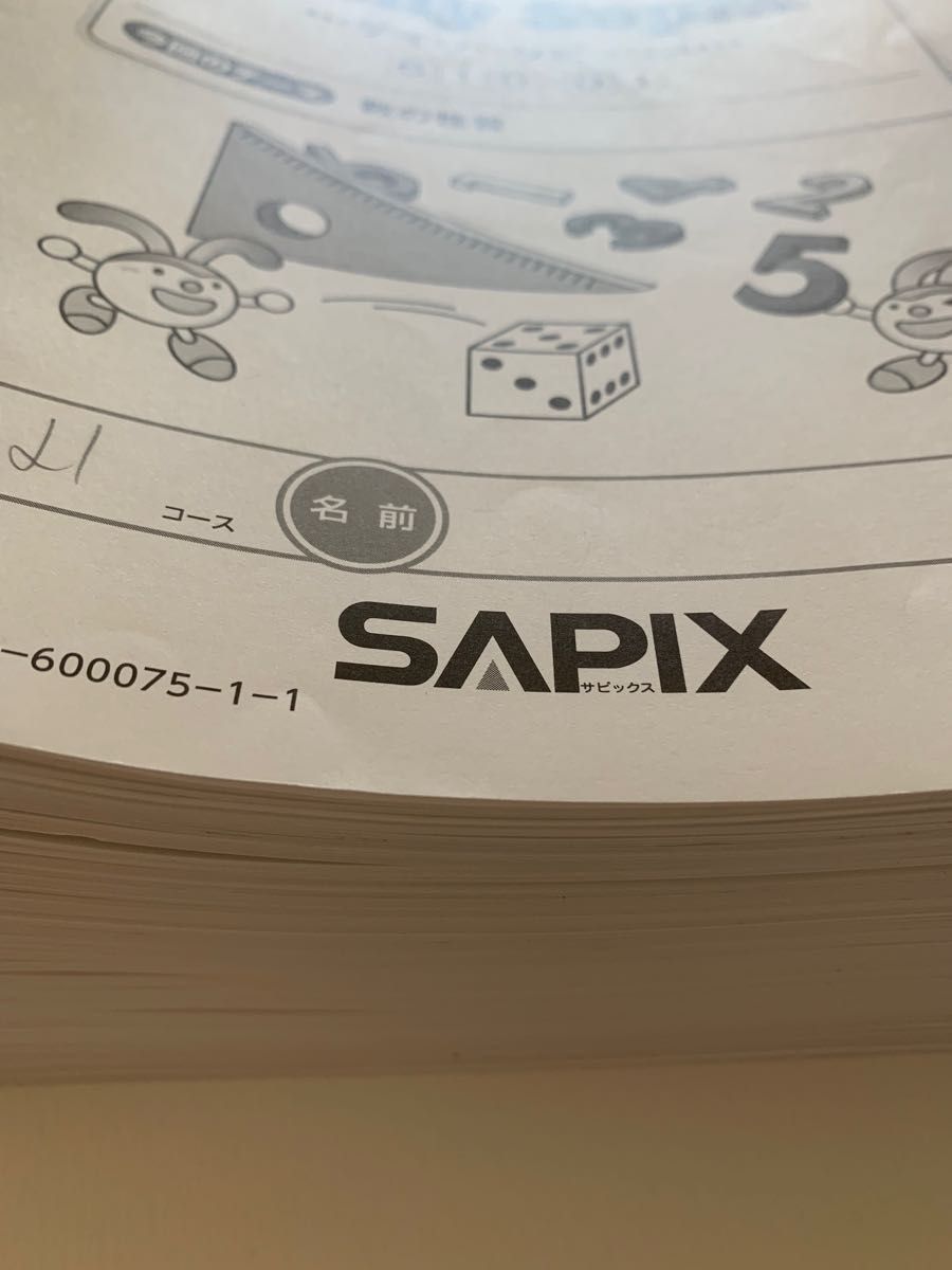 sapix サピックス　小学6年　算数　daily sapix デイリーサピックス　６１０-０１〜３8 計38冊セット