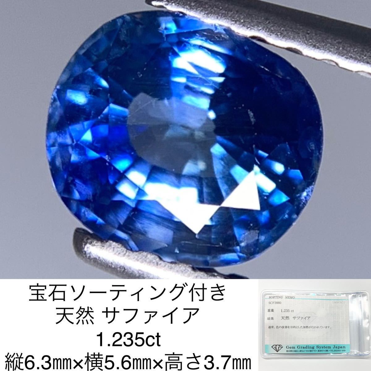 SJ】新品 ブルーサファイア 1.08ct ジュエリールース ACD708-