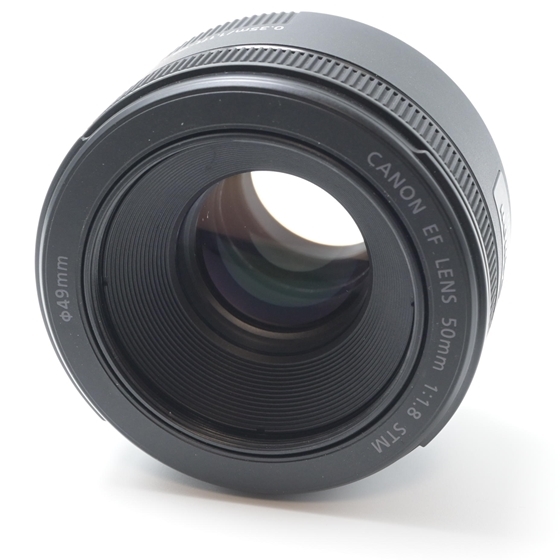 最終決算 【新品級】Canon EF STM F1.8 50mm キヤノン