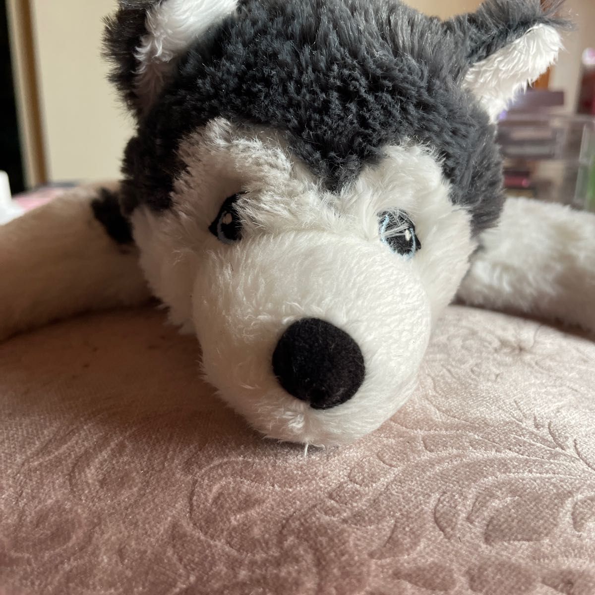 ZARBY ぬいぐるみ　おおかみ ぬいぐるみ オオカミ おおかみ 狼 SM228 1865 100+1 LAND