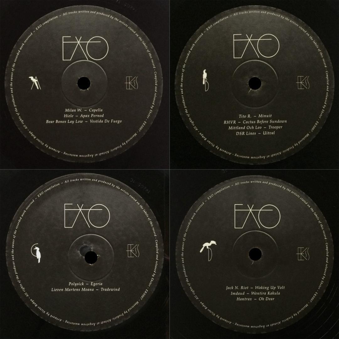 V.A. EXO　2015年　LP2枚組　未使用美品　DLカード付属　エキゾ/アンビエント編集盤　Ekster　EKS007　Milan W　Hiele　DSR Lines　Hantrax_画像7