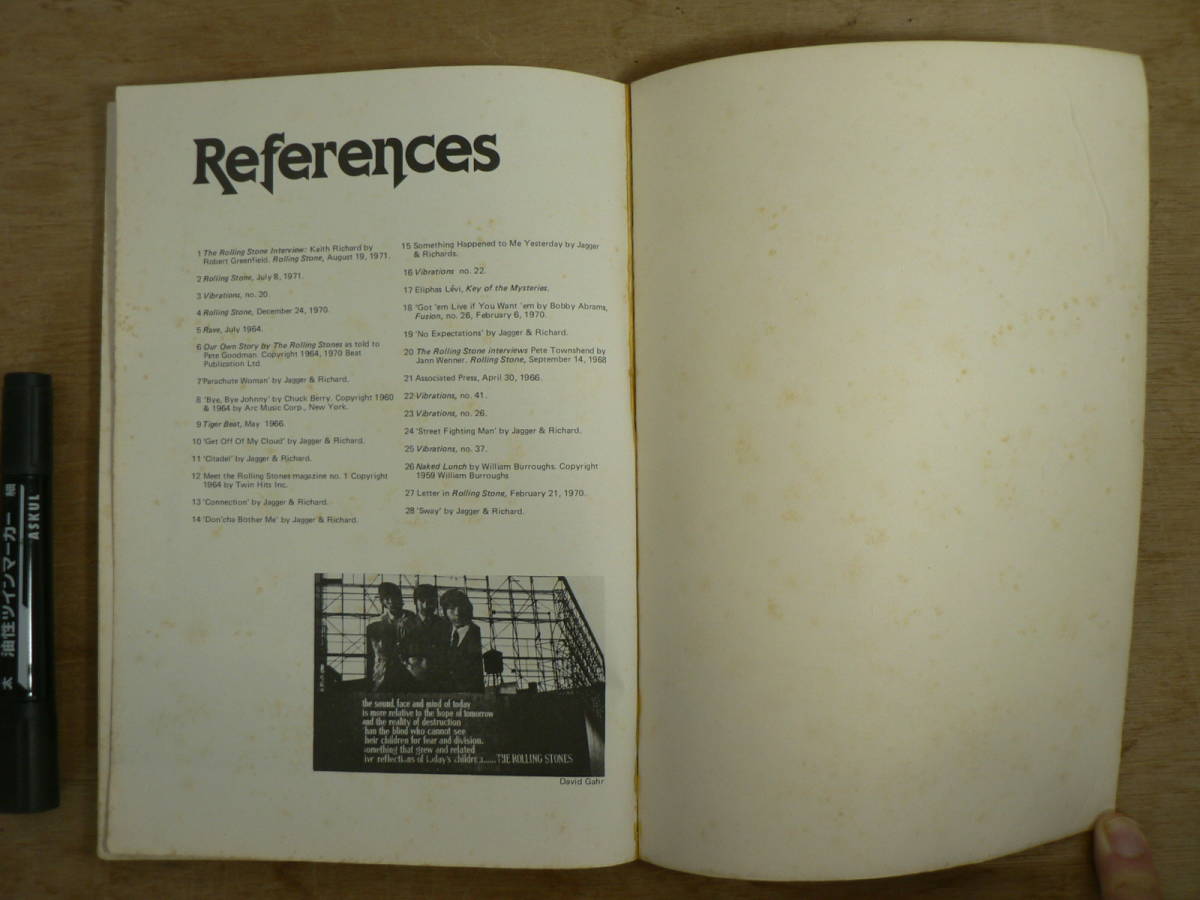 洋書　Rolling Stones An Unauthorized Biography in words and Photographs/David Dalton/quick fox/1979_画像6