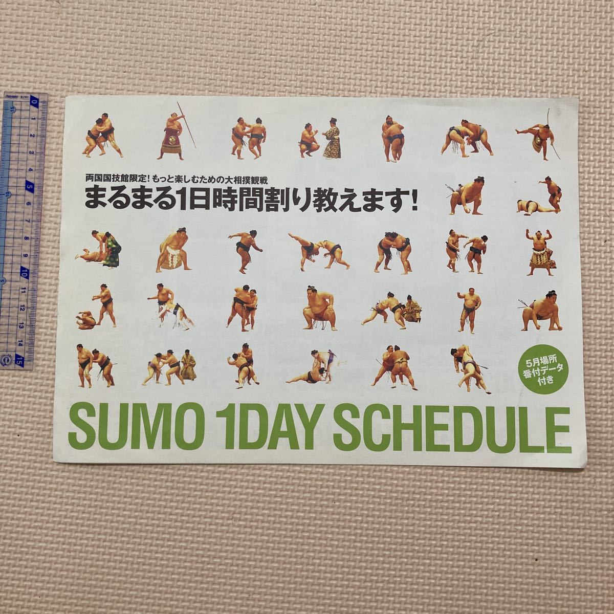 【送料無料】パンフレット　大相撲　SUMO 1DAY SCHEDULE 2001 五月場所_画像1