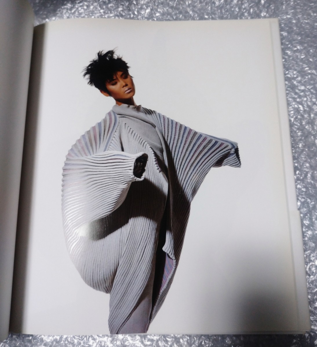 三宅一生 アーヴィング・ペン 写真集