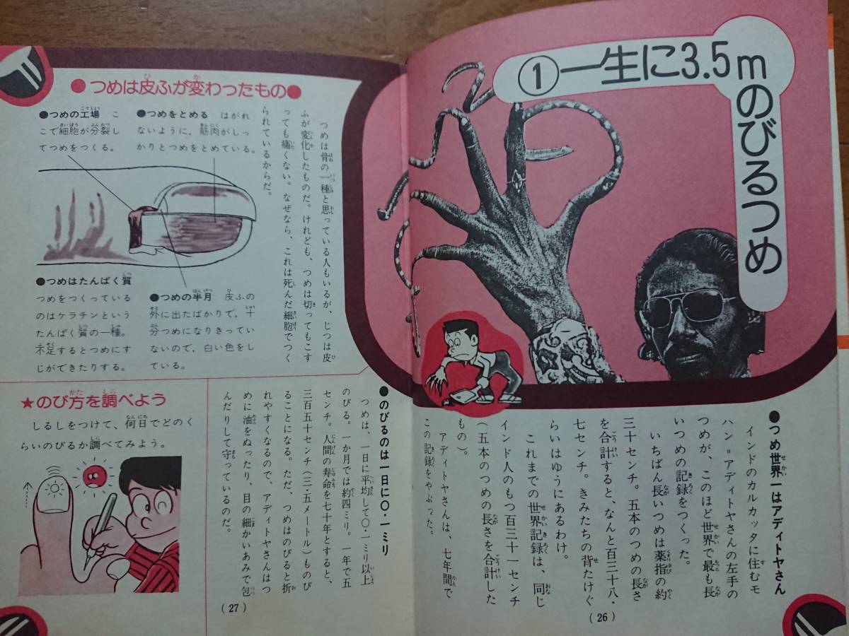 [ジュニアチャンピオンコース絵とき 人体ふしぎびっくり解剖]学研 矢島輝夫 昭和40年代後半 世界一爪の長い男 お通夜に生き返った男_画像8