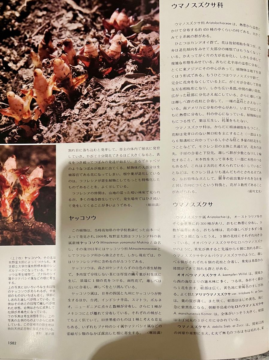 週刊朝日百科　世界の植物　1〜120巻(全巻)