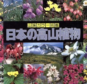 日本の高山植物 山渓カラー名鑑／豊国秀夫【編】_画像1