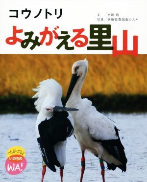 コウノトリ　よみがえる里山 つながってるよいのちのＷＡ！／兵庫県豊岡市の人々(著者),宮垣均_画像1