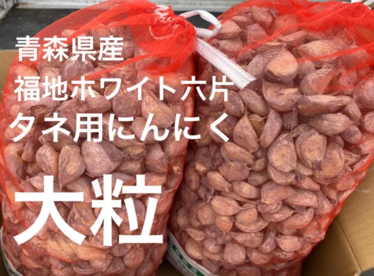 お買得バラにんにく10Kg 早い者勝ち