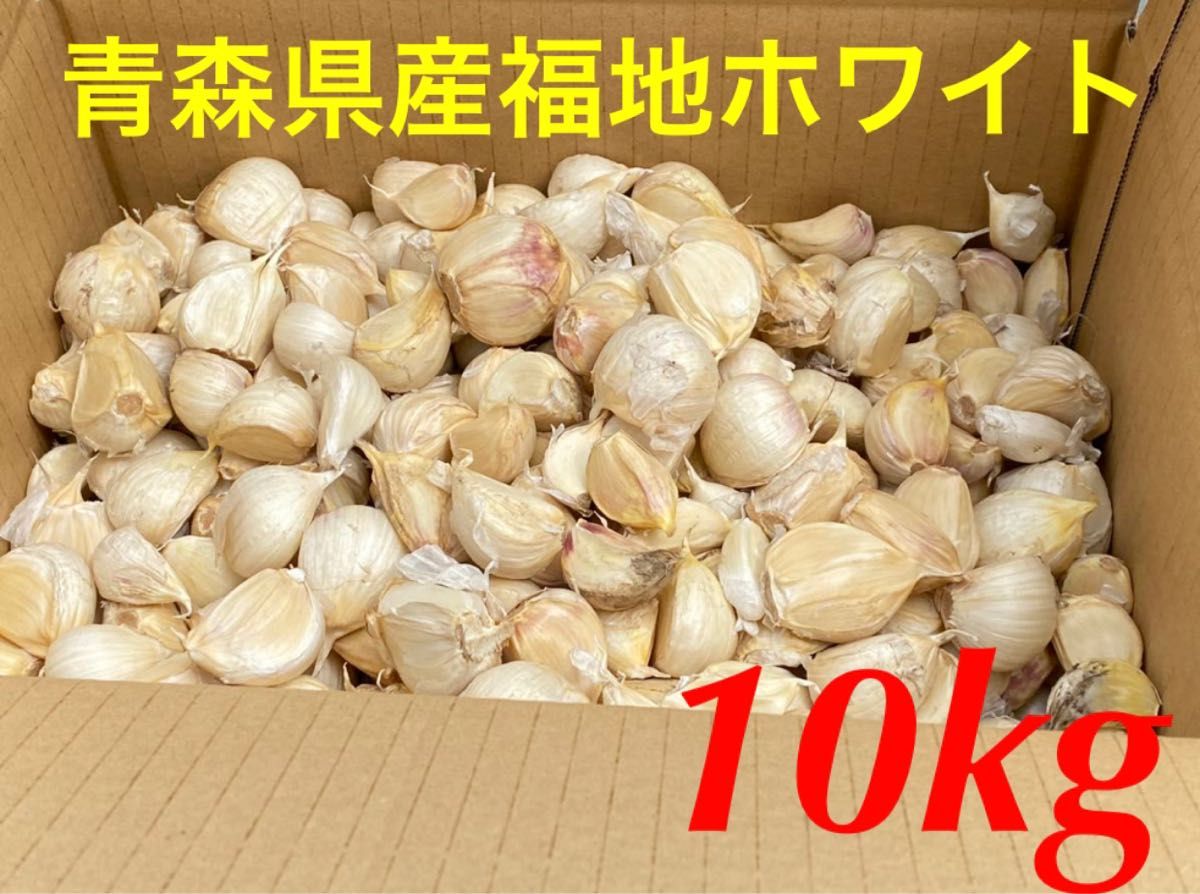 青森県産 中サイズにんにく 1kg 福地ホワイト六片 タネや黒にんにくオススメ