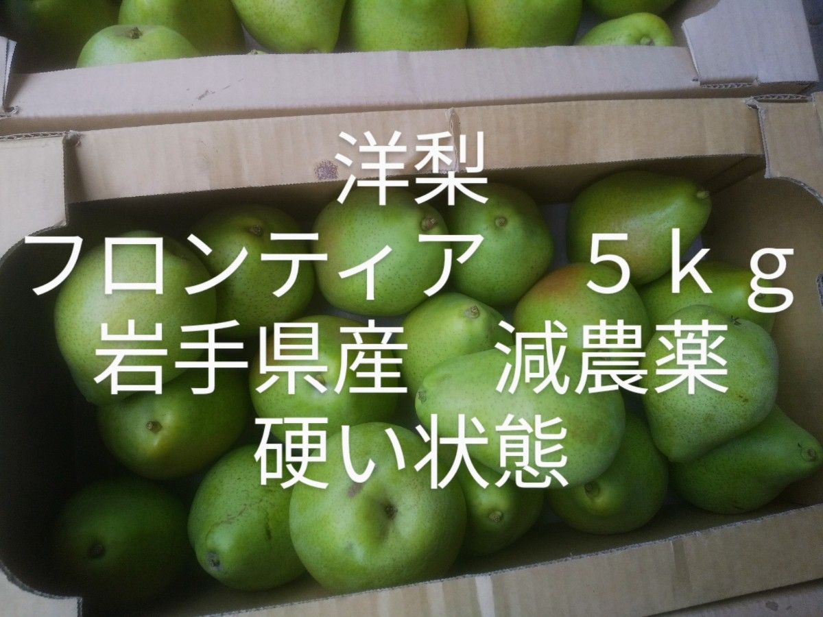 www.haoming.jp - 青森県産 洋梨 マリゲリツトマリーラ 20kg 価格比較