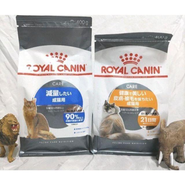 限定 ロイヤルカナン 猫 キャットフード 減量したい成猫用 と　ビューティー　#鍵しっぽネコの森キャットフード