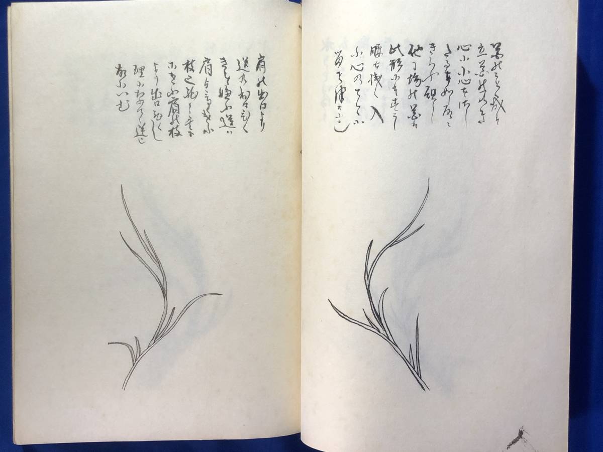 CJ275ア△「遠州流挿花渕源集極意之巻」 華道/いけばな/和本/古書の画像6