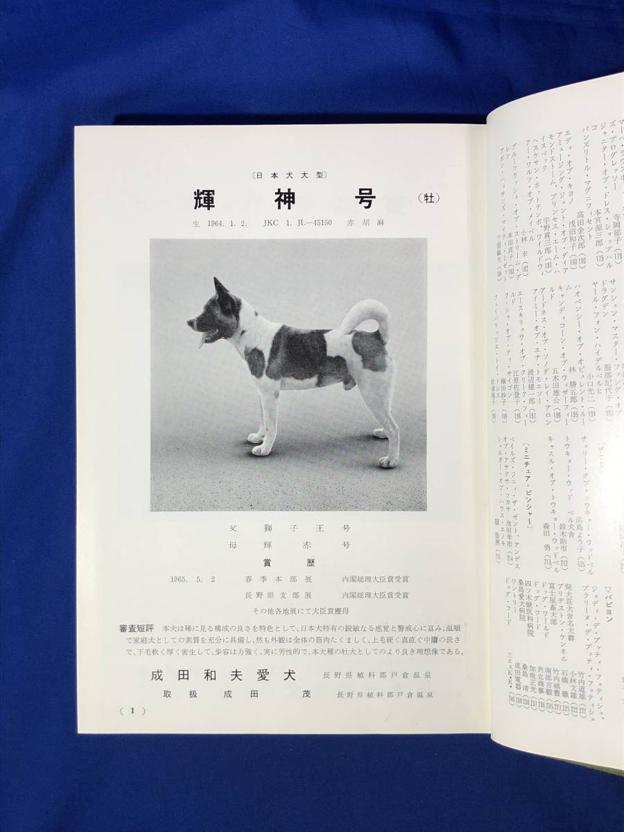 CJ557ア△非売品 「全日本最高名犬大観 JKC20年史」 JKC創立20周年記念 JAPAN KENNEL CLUBの画像3
