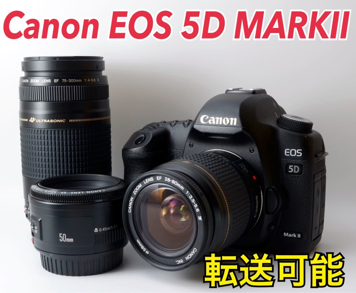 豪華 ☆Canon EOS 1ヶ月動作補償あり！ MARKⅡ☆S数約450回○トリプル