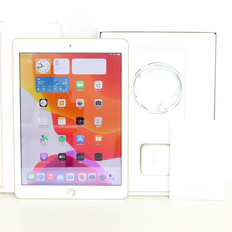 売れ筋がひ新作！ 128GB Wi-Fiモデル iPad（第5世代/2017） Apple