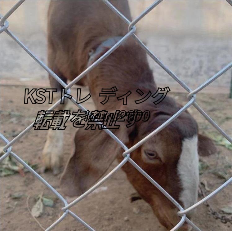 牛羊の繁殖ネット 犬 ドッグラン 動物園フエンス ワイヤー リンクフェンス 鉄線フェンス ガードレール 養魚池 隔離 花 園芸保護 1.5Mx10M_画像3