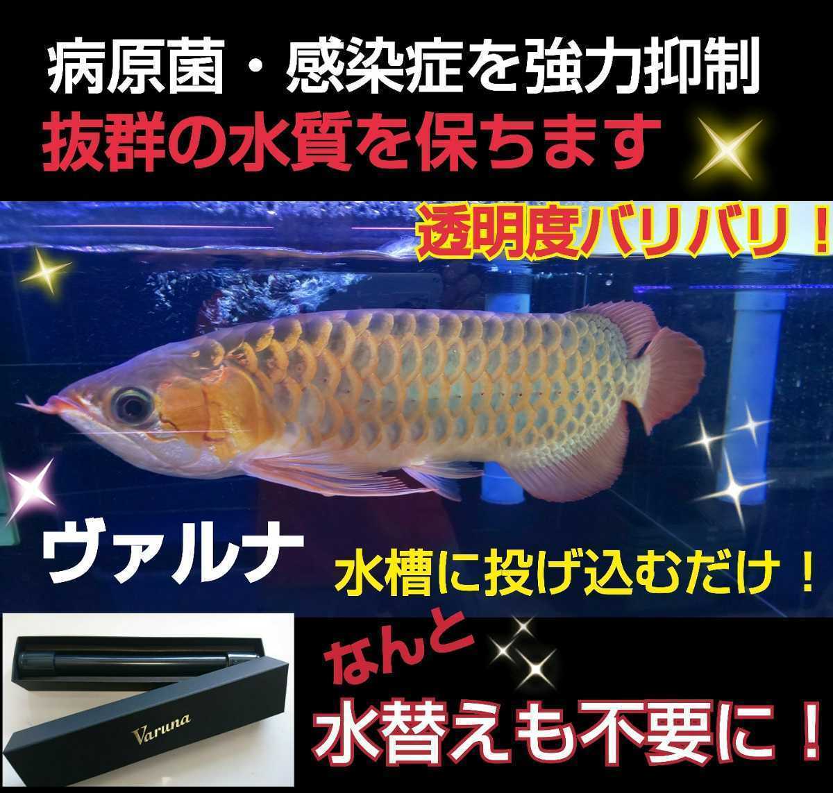 不思議！水替え不要になる魔法の筒！【ヴァルナ15センチ】水槽に入れるだけで有害物質を強力抑制☆透明度が抜群になります！飼育が楽チンに_手入れが楽になります！