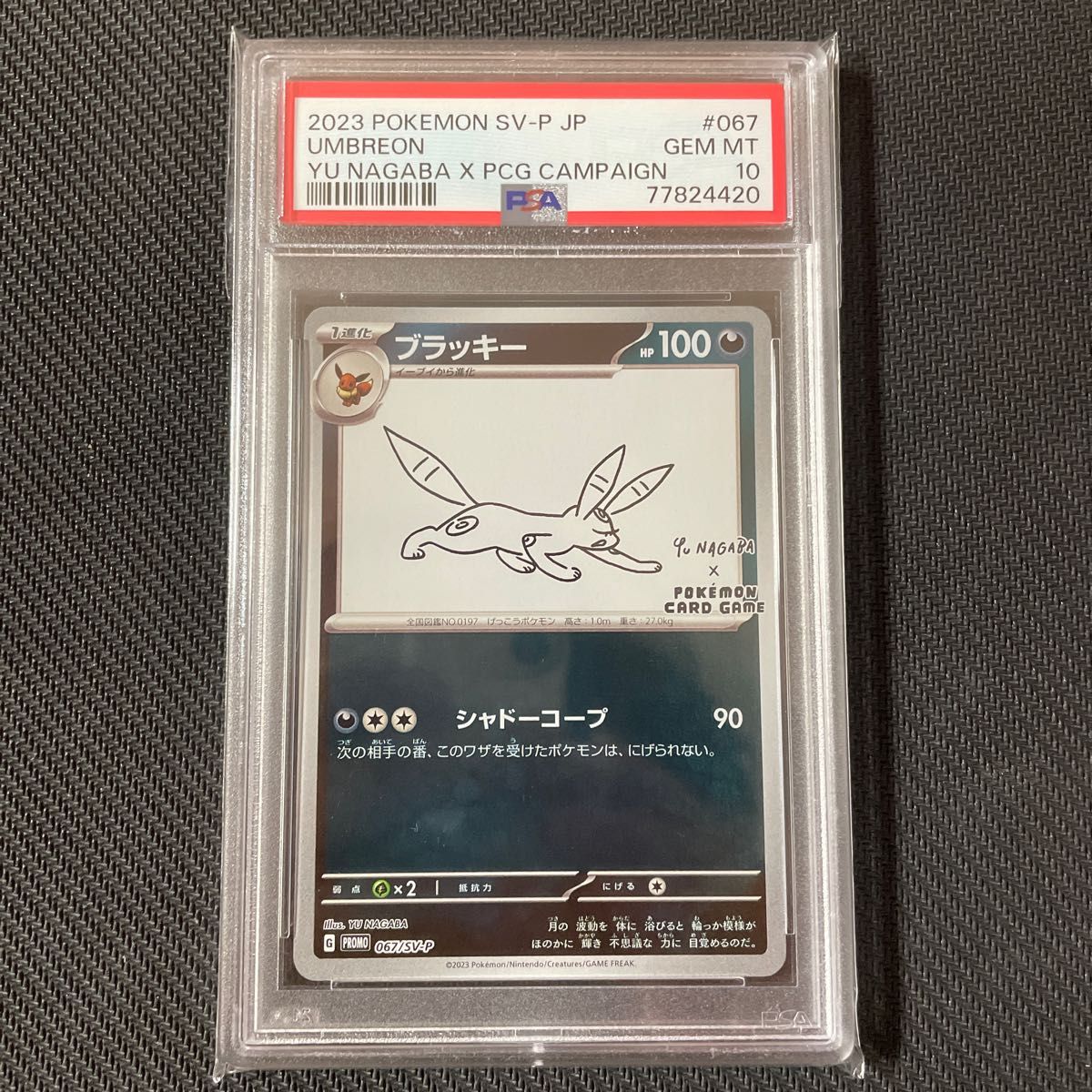 PSA10 ブラッキー プロモ 長場 雄　YU NAGABA コラボ