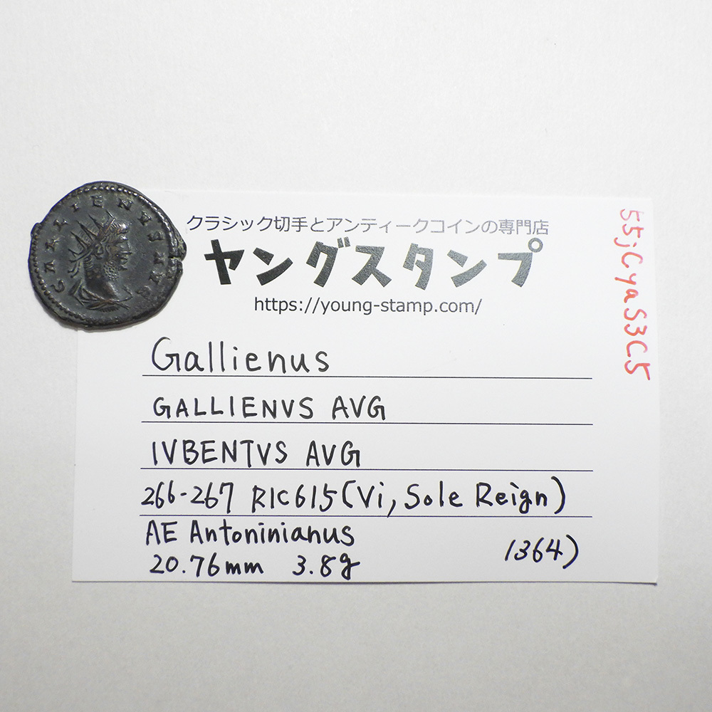 【古代ローマコイン】Gallienus（ガッリエヌス）クリーニング済 ブロンズコイン 銅貨 アントニニアヌス(55jCyaS3C5)_画像9