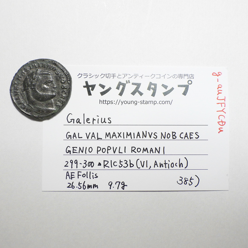 【古代ローマコイン】Galerius（ガレリウス）クリーニング済 ブロンズコイン 銅貨 フォリス(g_auJFYCDu)_画像9
