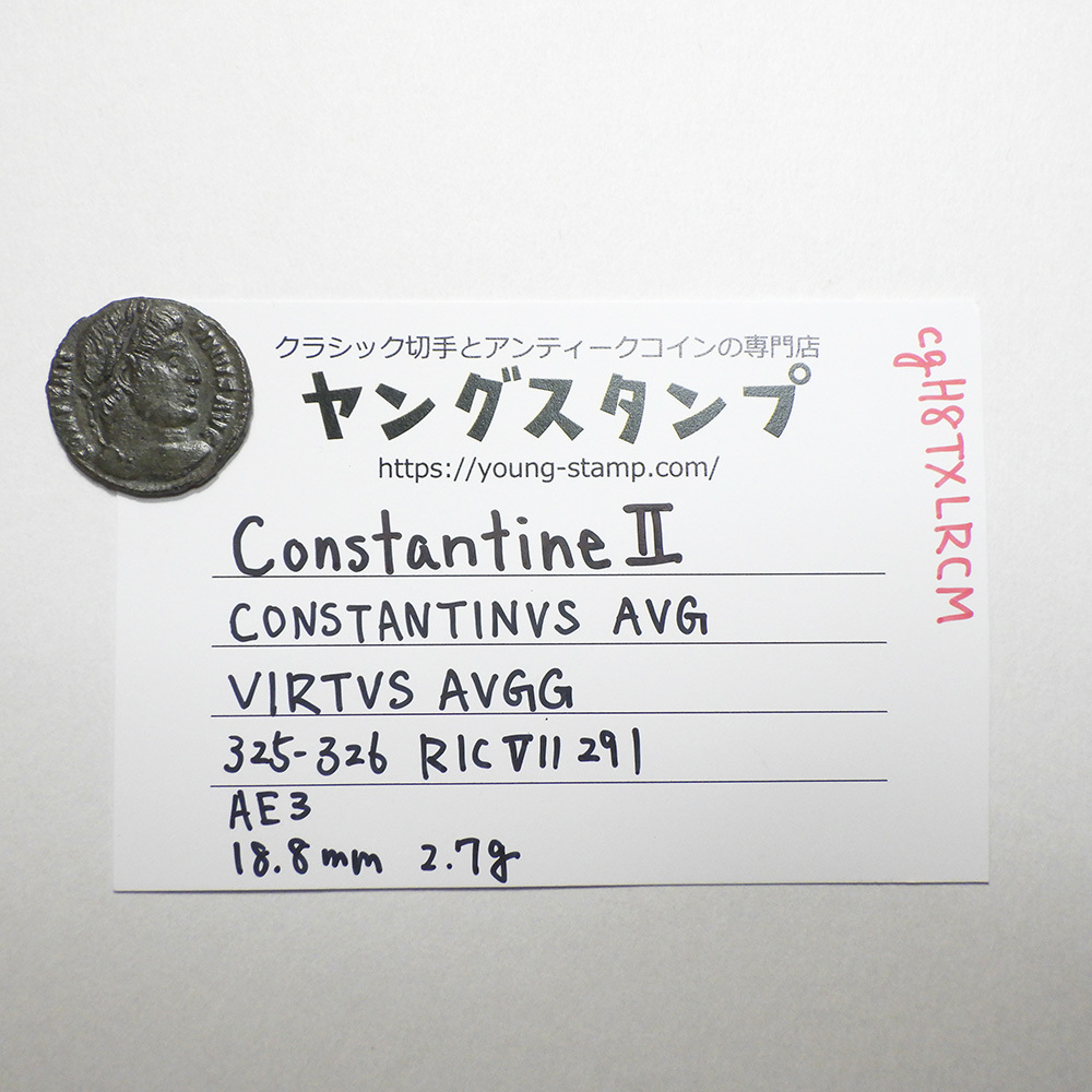 【古代ローマコイン】Constantine II（コンスタンティヌス2世）クリーニング済 ブロンズコイン 銅貨 フォリス(cgH8TXLRCM)_画像9