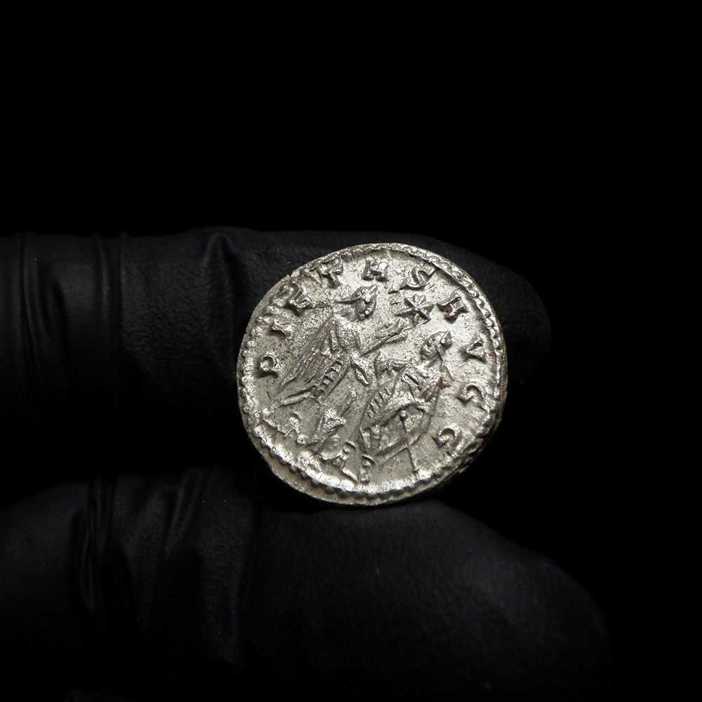 【古代ローマコイン】Gallienus（ガッリエヌス）クリーニング済 シルバーコイン 銀貨 アントニニアヌス(aR_3kmVXrS)_画像6