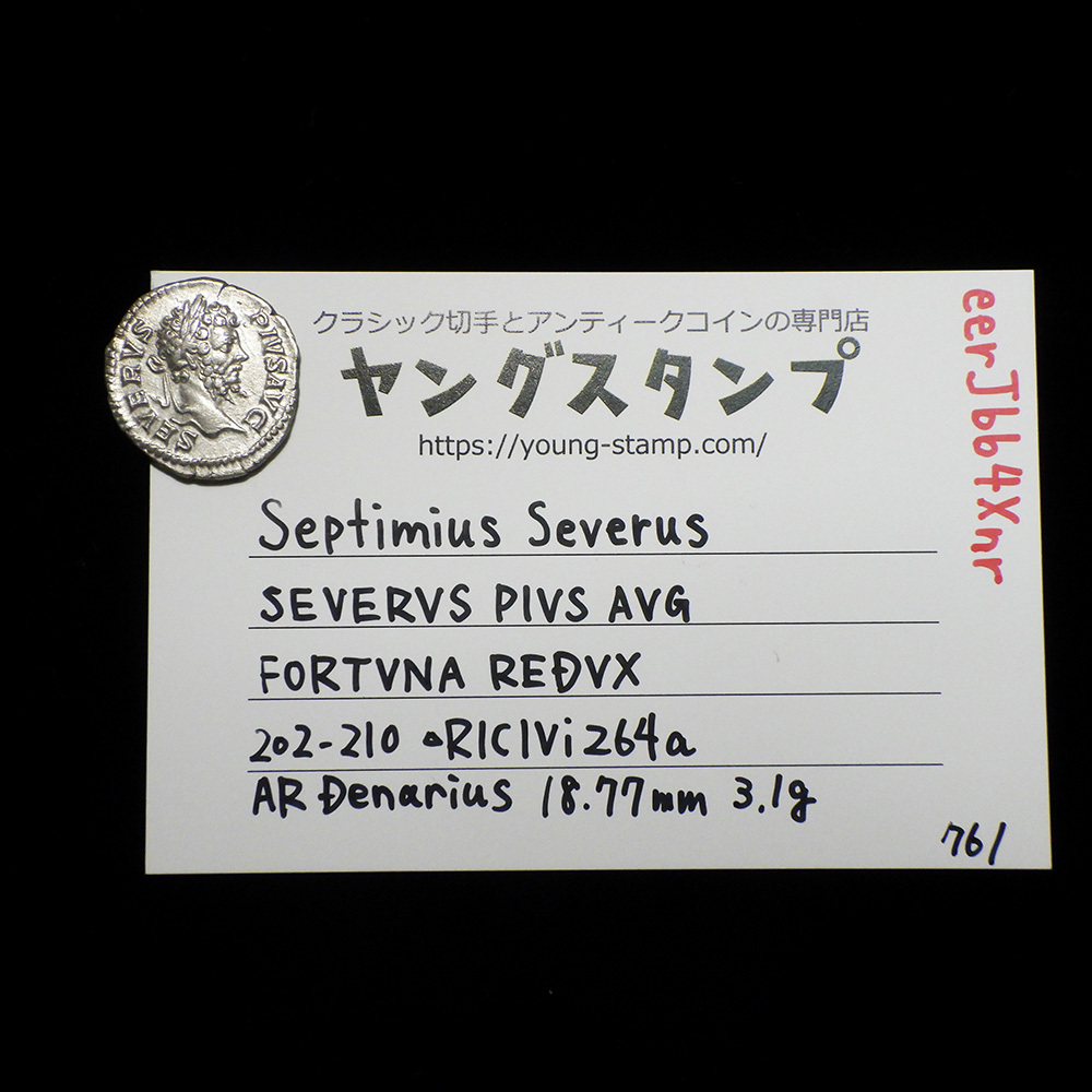 【古代ローマコイン】Septimius Severus（セプティミウス・セウェルス）クリーニング済 シルバーコイン 銀貨 デナリウス(eerJbb4Xnr)_画像9