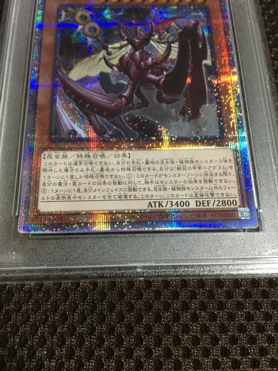 遊戯王 PSA7 現存1枚 樹冠の甲帝ベアグラム プリズマティックシークレット_画像3