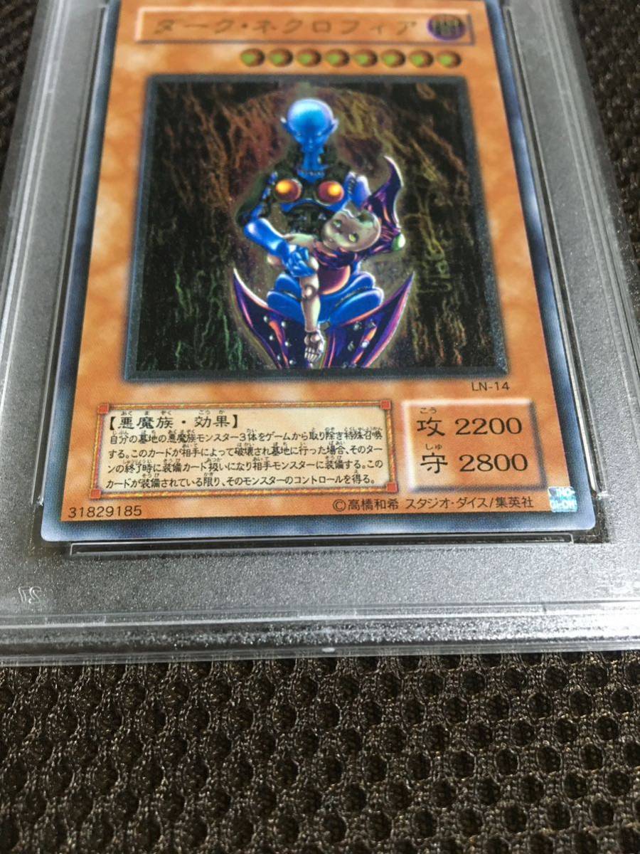 遊戯王 PSA8 現存38枚 ダーク ネクロフィア アルティメット レリーフ