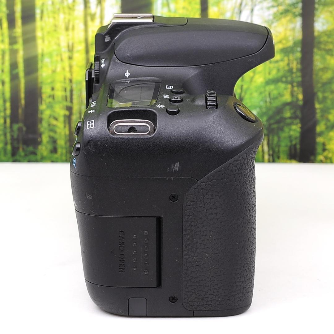 Canon EOS 9000D ダブルセット 1歩上級の一眼レフ 3908｜PayPayフリマ