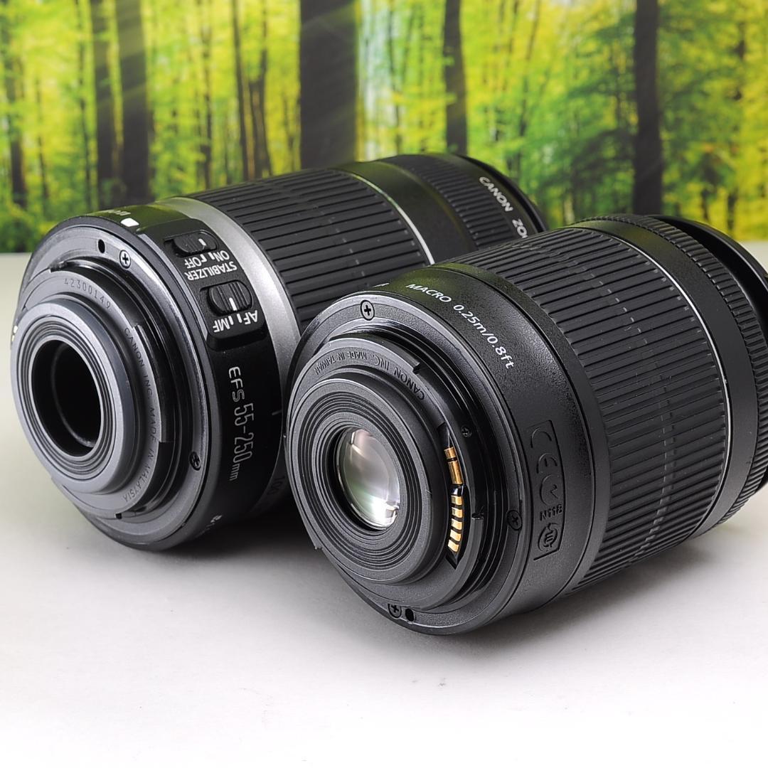 Canon EOS 9000D ダブルセット 1歩上級の一眼レフ 3908｜PayPayフリマ