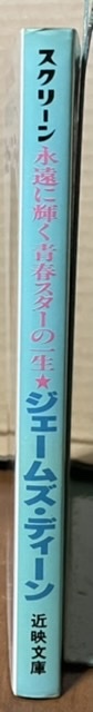 即決！近代映画社『ジェームズ・ディーン　永遠に輝く青春スターの一生』昭和60年初版　豊富な写真は「スクリーン」の出版社ならでは!!_画像2