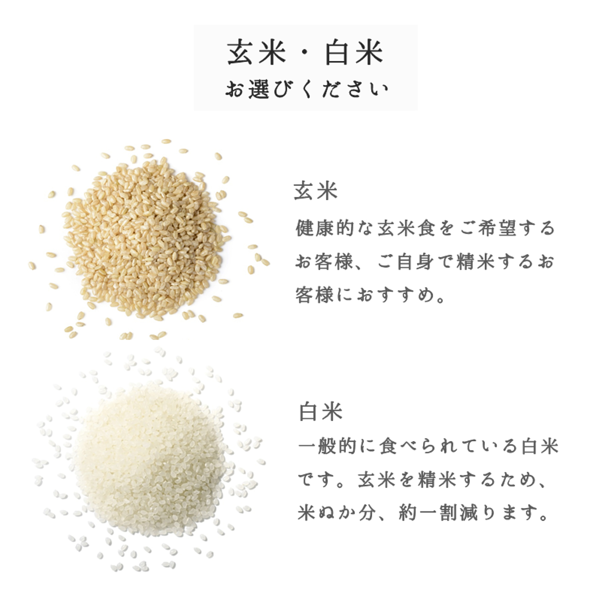 雪若丸 10kg×3袋 山形県産 送料無料 玄米 白米 精米無料 新米 令和5年産 一等米 米 お米 10kg 20kg も販売中_画像3