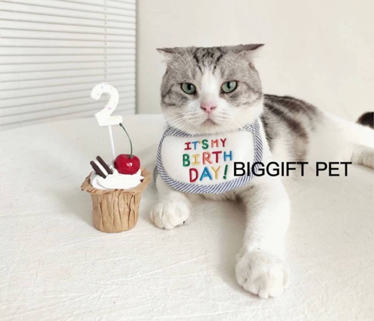 ペット バースデー スタイ L ブルー  誕生日 犬用 猫用 お祝い　可愛　動物