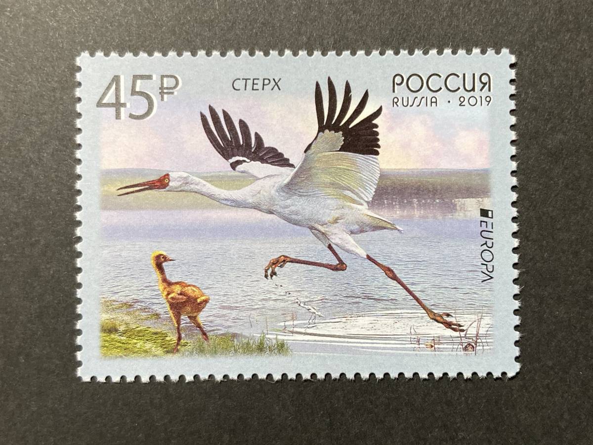 外国切手（未使用）ロシア 2019年発行 ヨーロッパ切手／国鳥 単片1種完 - 生き物 トリ Birds サギ？ ツル？ 水辺の鳥_画像1