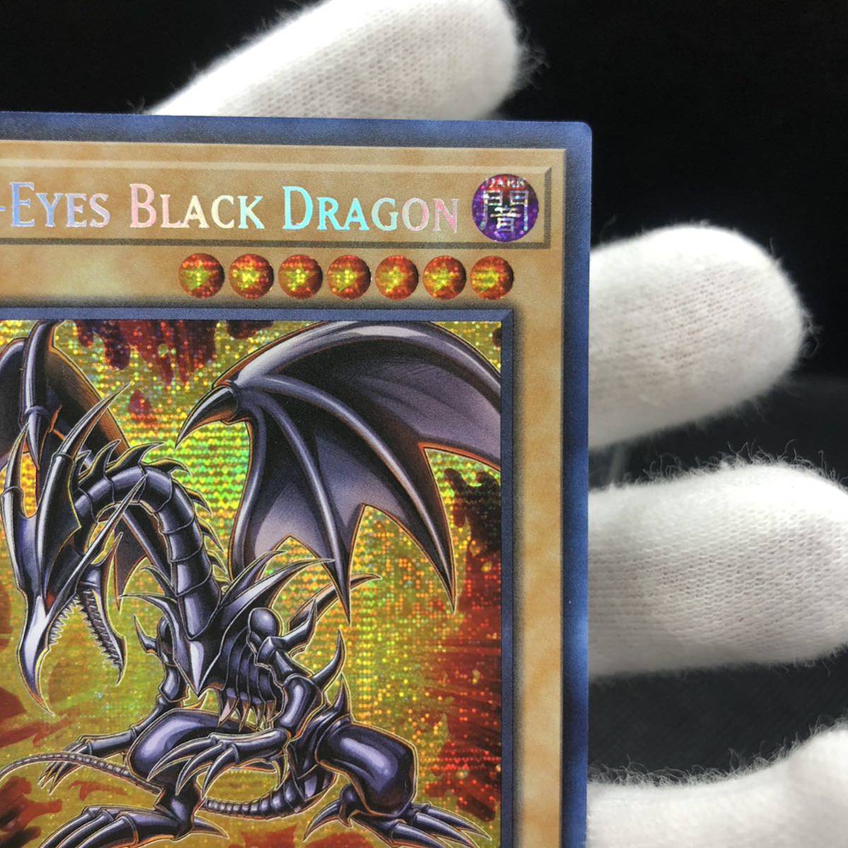 未使用品】遊戯王 英語版 真紅眼の黒竜 レッドアイズブラック 未使用品】遊戯王 英語版 真紅眼の黒竜 レッドアイズブラック